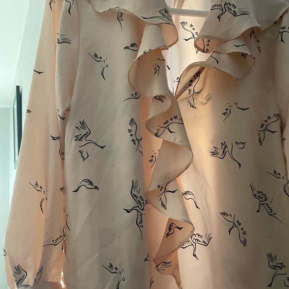 Zara Peach-Pink Ruffle Blouse with Bird Print - Picture 2 of 7